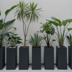 Tall Linear Planters